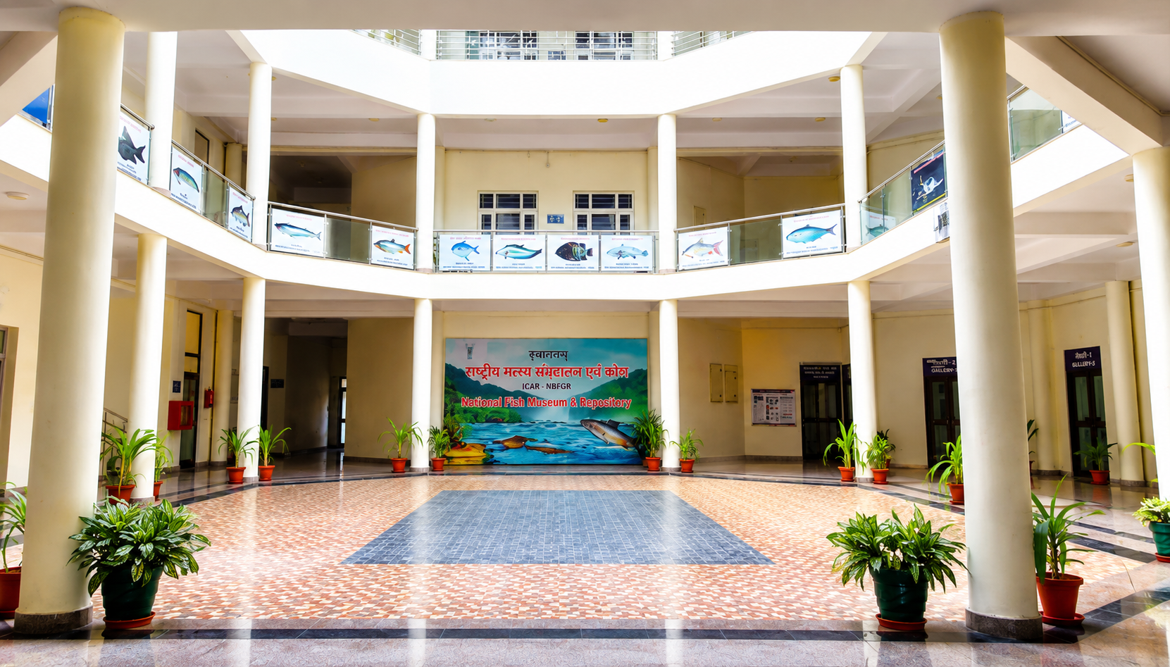 Fish Museum