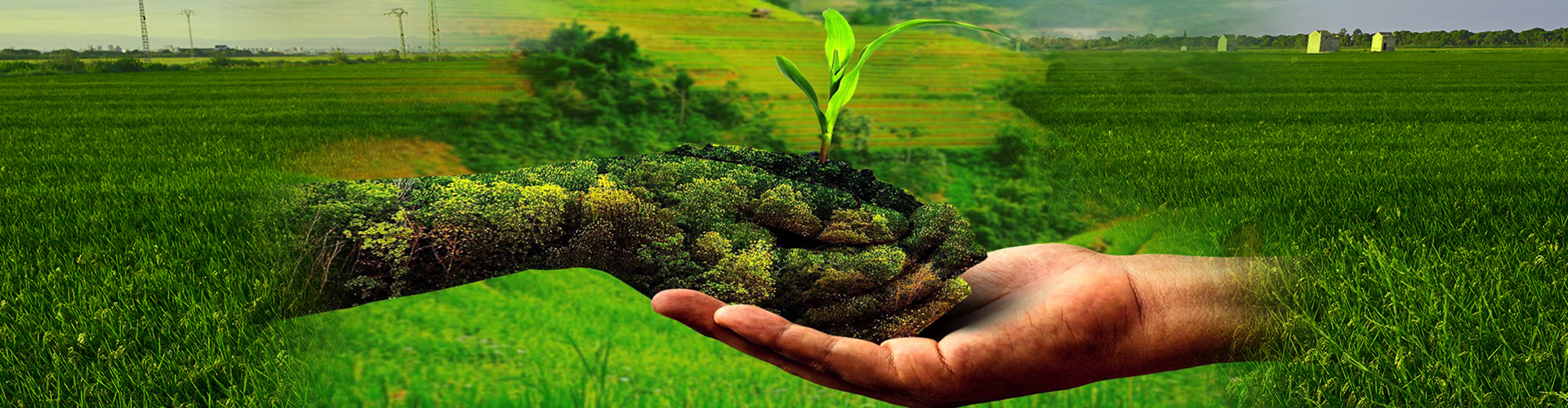 Agricultural Knowledge Management Unit