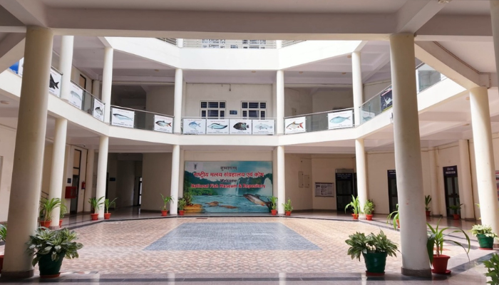 National Fish Museum & Repository