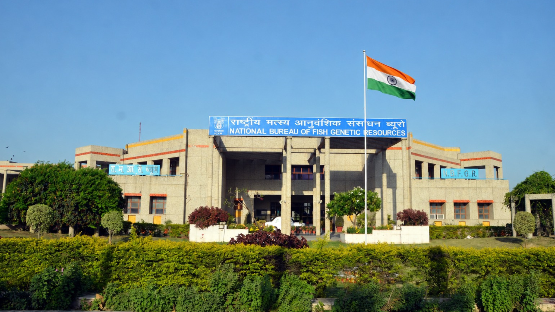 NBFGR Institute